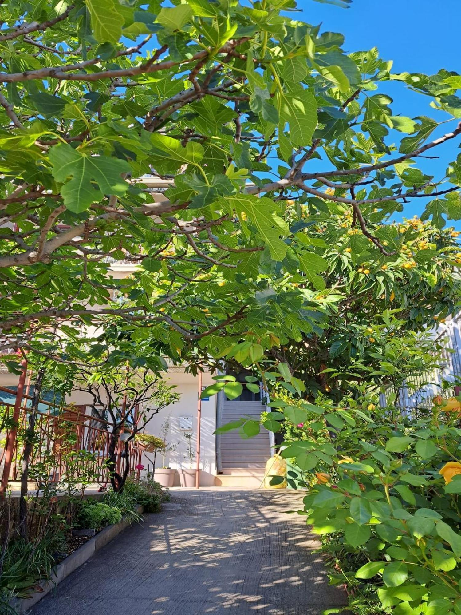Apartman Adriatic Pavlinovic - Makarska Bagian luar foto