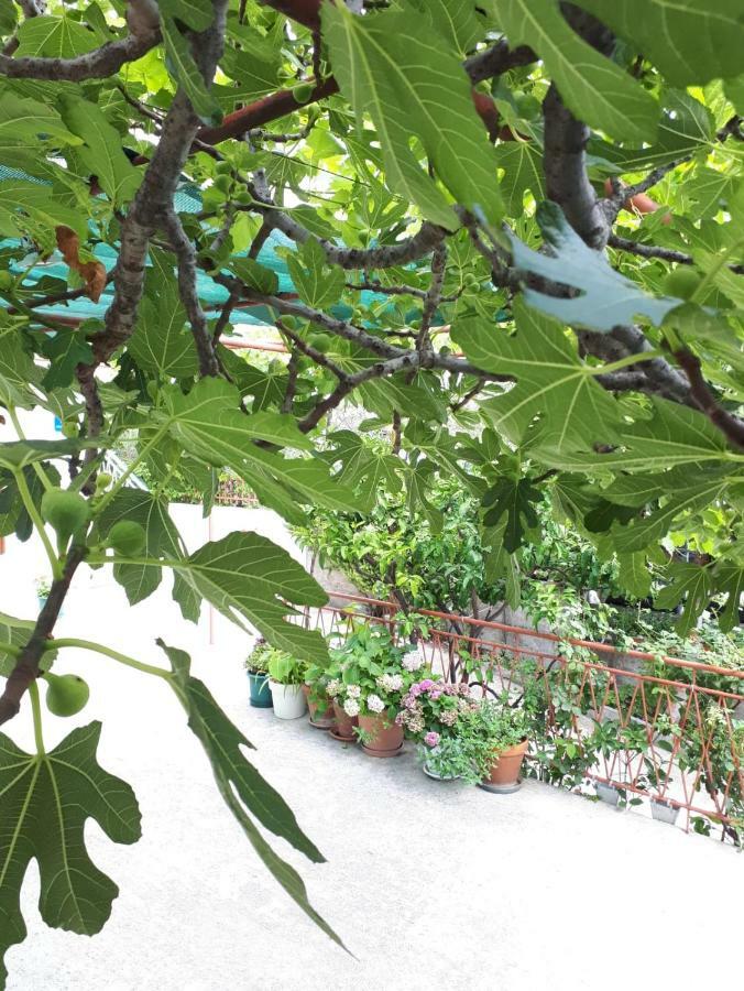 Apartman Adriatic Pavlinovic - Makarska Bagian luar foto